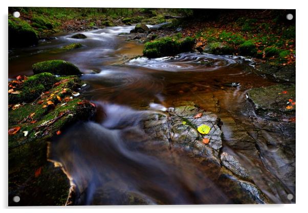 Reelig Glen Acrylic by Macrae Images