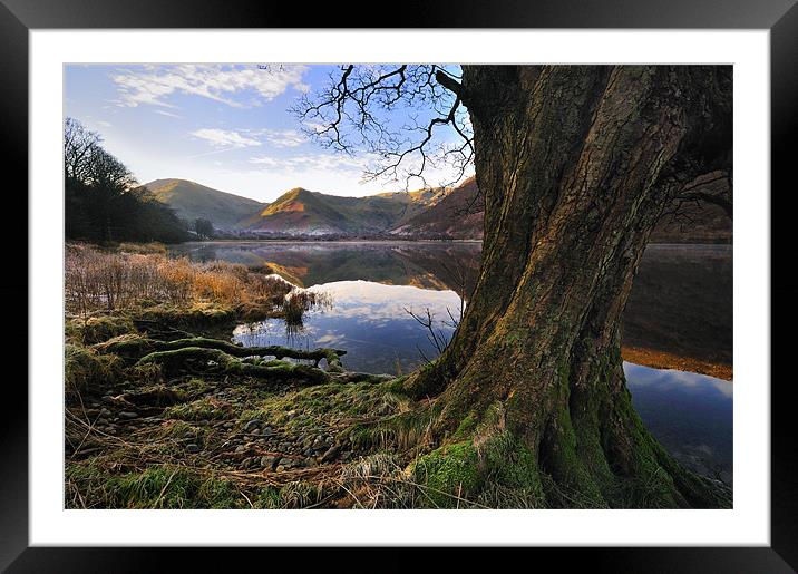 Views Of Brotherswater Framed Mounted Print by Jason Connolly