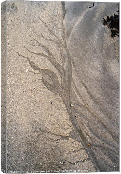 Sand tree Canvas Print by Richard Ashbee