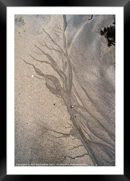 Sand tree Framed Mounted Print by Richard Ashbee