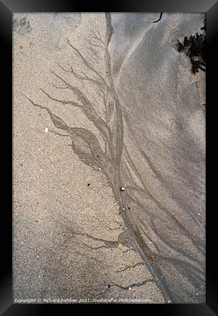 Sand tree Framed Print by Richard Ashbee