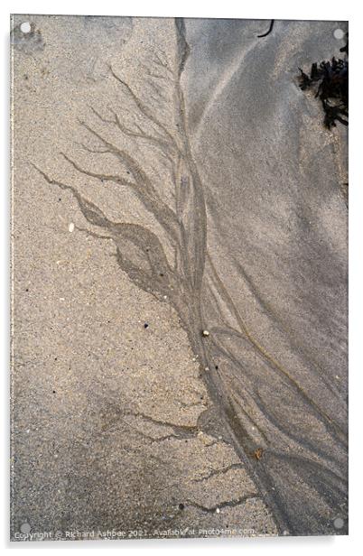 Sand tree Acrylic by Richard Ashbee