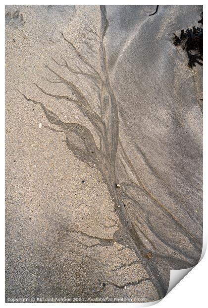Sand tree Print by Richard Ashbee