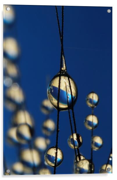 Royal Blue Grass Seed Drops Acrylic by Sharon Johnstone