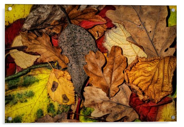 My Autumn Garden Acrylic by Sharon Johnstone