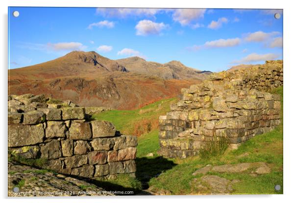 The Scafell's from Hardknott Roman Fort  Acrylic by Andrew Ray
