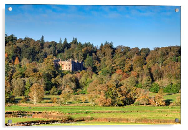Muncaster Castle Acrylic by Andrew Ray