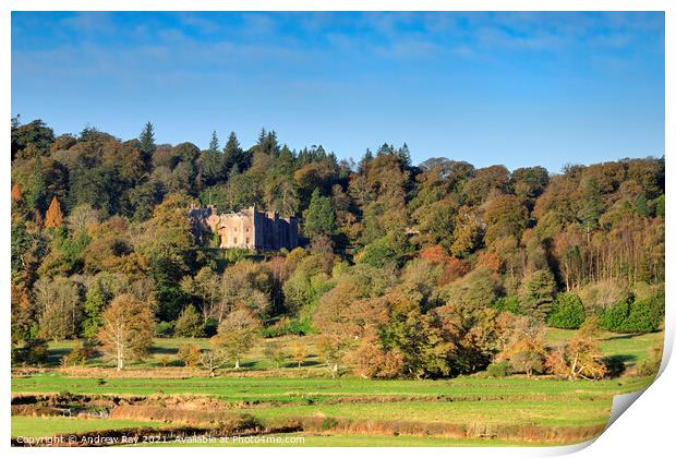 Muncaster Castle Print by Andrew Ray