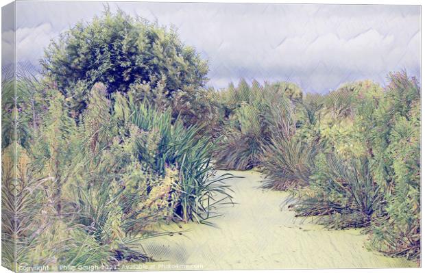 Plant tree Canvas Print by Philip Gough