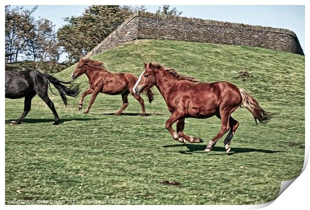 A horse running in a grassy field Print by Philip Gough
