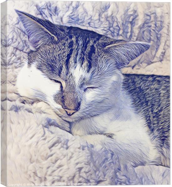 A cat lying on a bed Canvas Print by Philip Gough