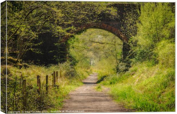 Footpath Along the Old Branch Line Canvas Print by Paul Tuckley