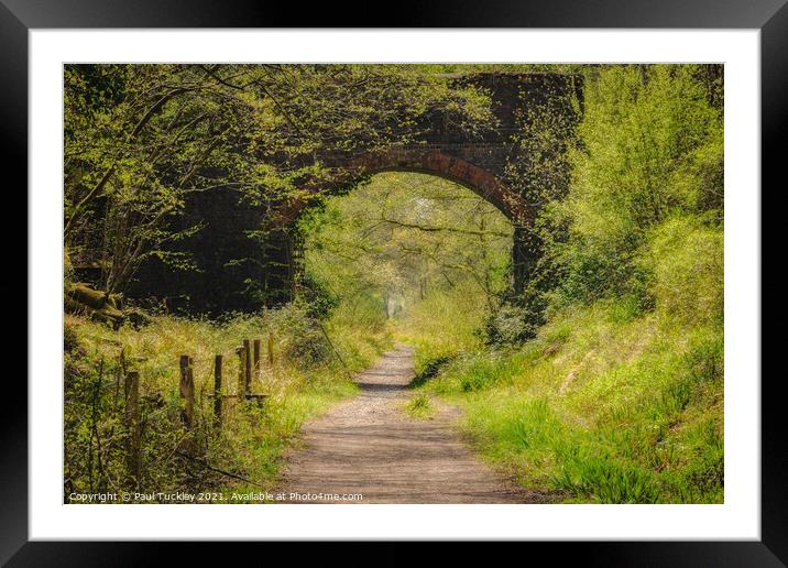 Footpath Along the Old Branch Line Framed Mounted Print by Paul Tuckley