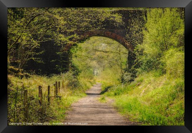 Footpath Along the Old Branch Line Framed Print by Paul Tuckley