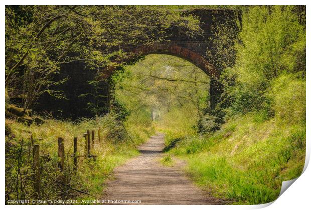 Footpath Along the Old Branch Line Print by Paul Tuckley