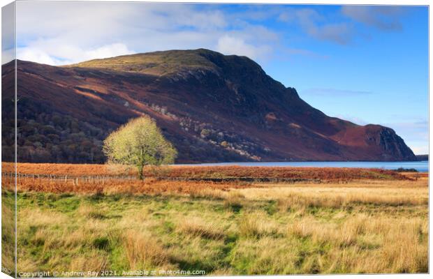 Morning at Ennerdale Canvas Print by Andrew Ray