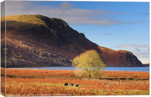 Autumn at Ennerdale Water Canvas Print by Andrew Ray