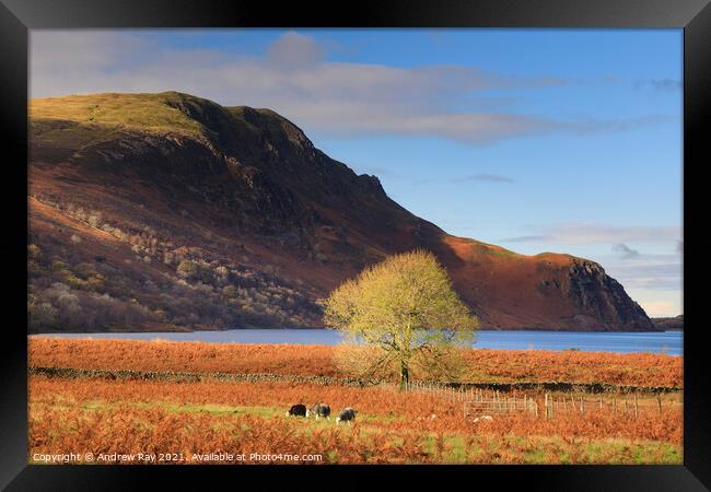 Autumn at Ennerdale Water Framed Print by Andrew Ray