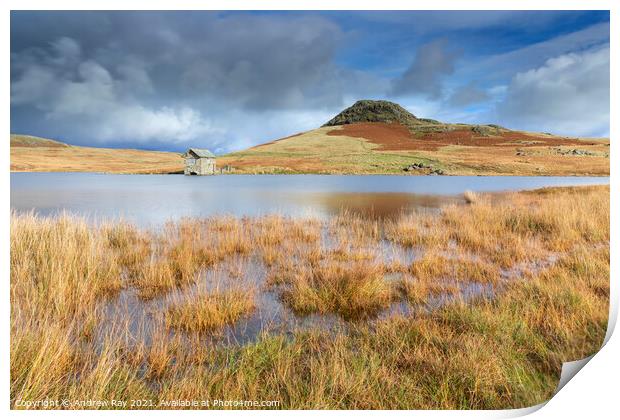 Autumn at Devoke Water Print by Andrew Ray