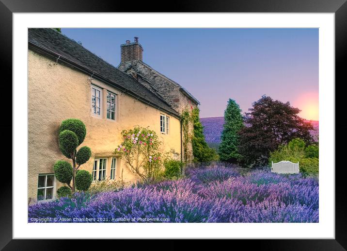 Sunrise At Lavender Cottage Framed Mounted Print by Alison Chambers