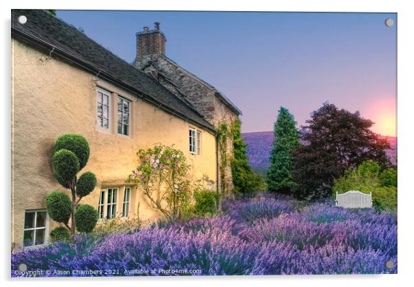 Sunrise At Lavender Cottage Acrylic by Alison Chambers