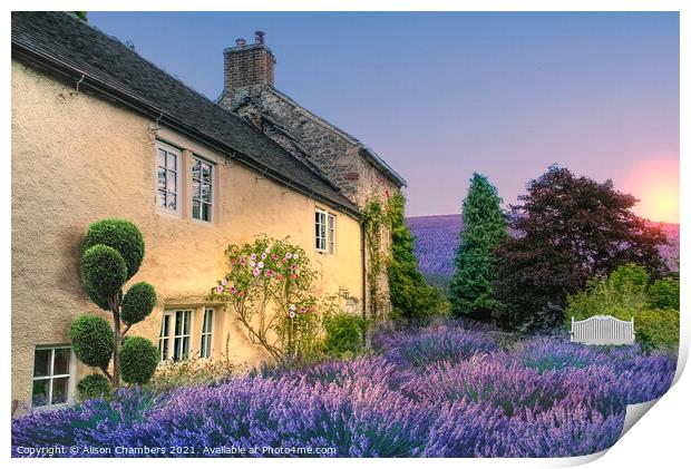 Sunrise At Lavender Cottage Print by Alison Chambers