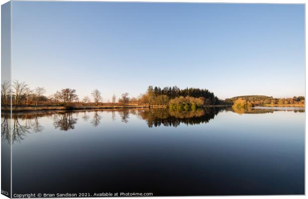 Pitfour Lake Reflections Canvas Print by Brian Sandison