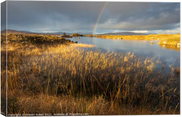 Beauty of the Scottish Moorlands Canvas Print by Steven Nokes