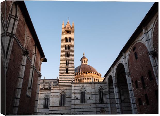 Duomo die Siena Cathedral Tower and Dome Canvas Print by Dietmar Rauscher