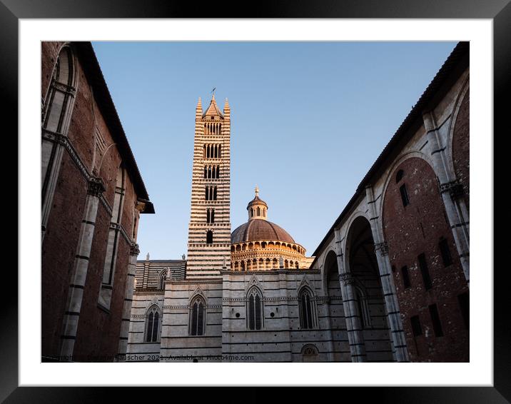 Duomo die Siena Cathedral Tower and Dome Framed Mounted Print by Dietmar Rauscher