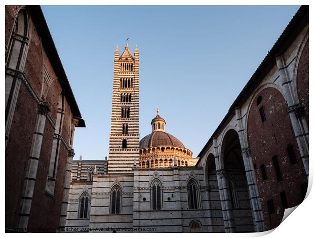 Duomo die Siena Cathedral Tower and Dome Print by Dietmar Rauscher