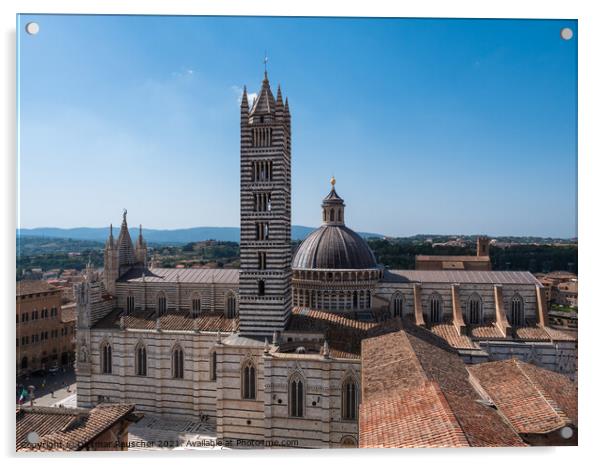 Siena Duomo Cathedral aerial view  Acrylic by Dietmar Rauscher