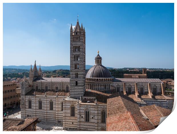 Siena Duomo Cathedral aerial view  Print by Dietmar Rauscher