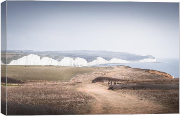 The Seven Sisters from Seaford Head Canvas Print by Mark Jones
