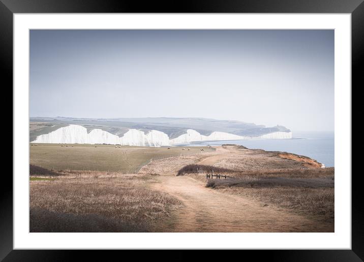 The Seven Sisters from Seaford Head Framed Mounted Print by Mark Jones