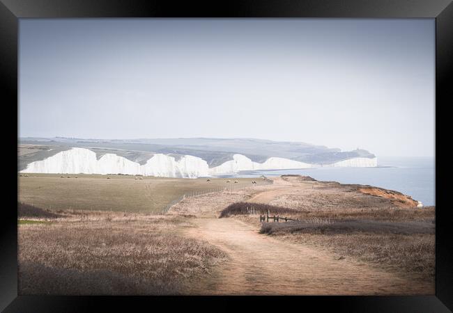 The Seven Sisters from Seaford Head Framed Print by Mark Jones