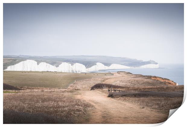 The Seven Sisters from Seaford Head Print by Mark Jones