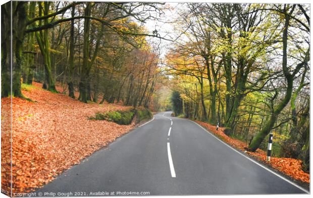 Outdoor road Canvas Print by Philip Gough