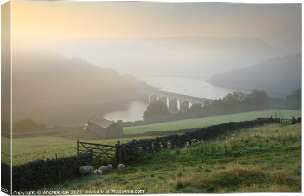 Misty morning above Ladybower Canvas Print by Andrew Ray
