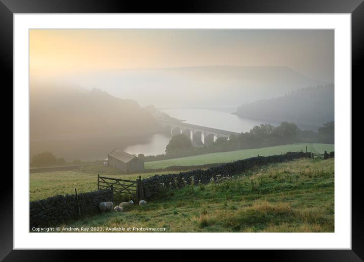 Misty morning above Ladybower Framed Mounted Print by Andrew Ray