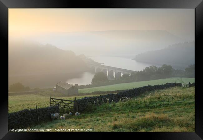 Misty morning above Ladybower Framed Print by Andrew Ray