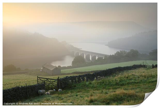 Misty morning above Ladybower Print by Andrew Ray