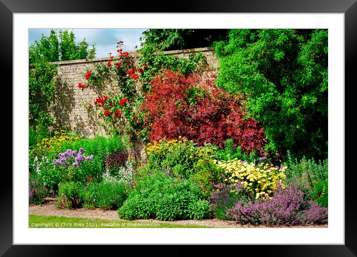 Walled garden in summer Framed Mounted Print by Chris Rose