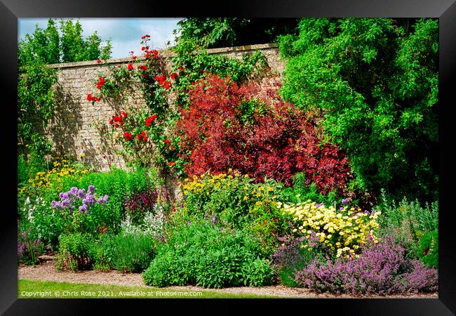Walled garden in summer Framed Print by Chris Rose