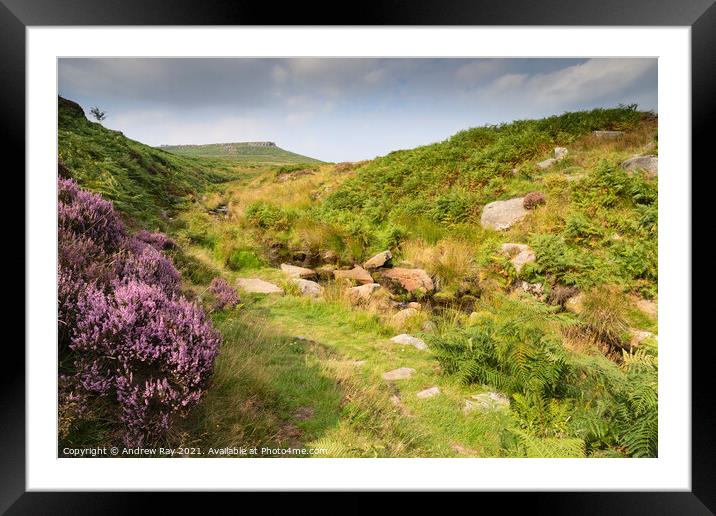 Heather at Burbage Bridge Framed Mounted Print by Andrew Ray