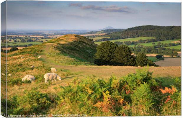 Ridge view (The Lawley)  Canvas Print by Andrew Ray