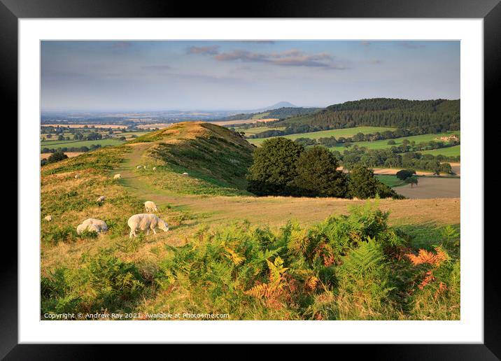 Ridge view (The Lawley)  Framed Mounted Print by Andrew Ray