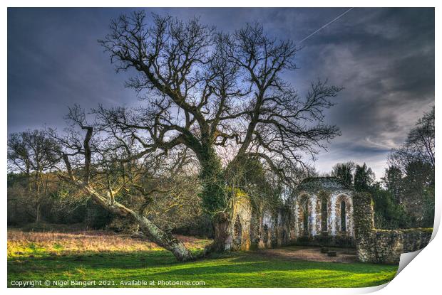 Waverley Abbey Print by Nigel Bangert