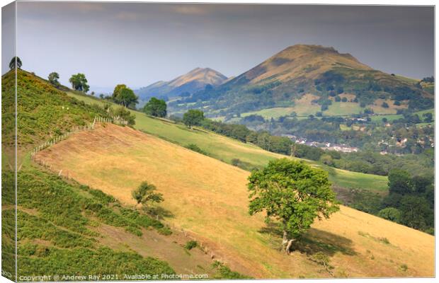 Towards Cear Caradoc and The Lawley  Canvas Print by Andrew Ray