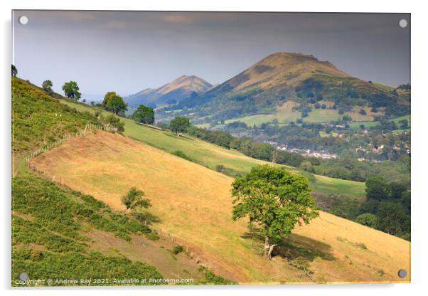 Towards Cear Caradoc and The Lawley  Acrylic by Andrew Ray